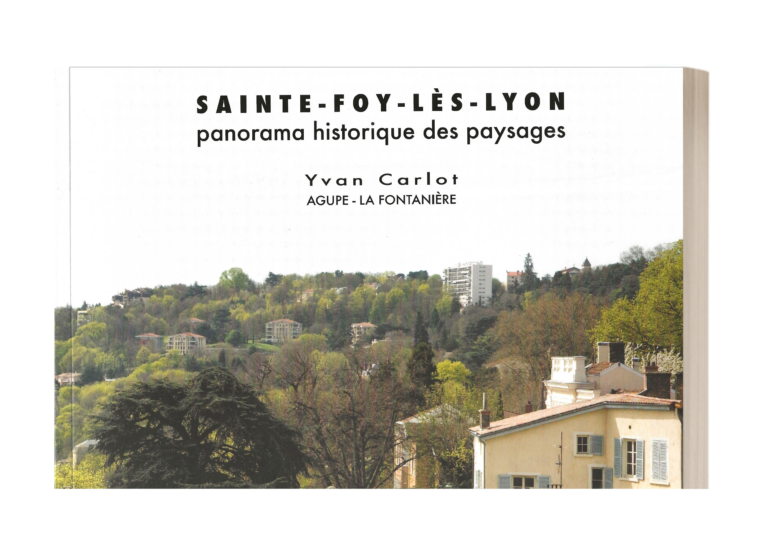 Sainte-Foy-lès-Lyon, Panorama historique des paysages