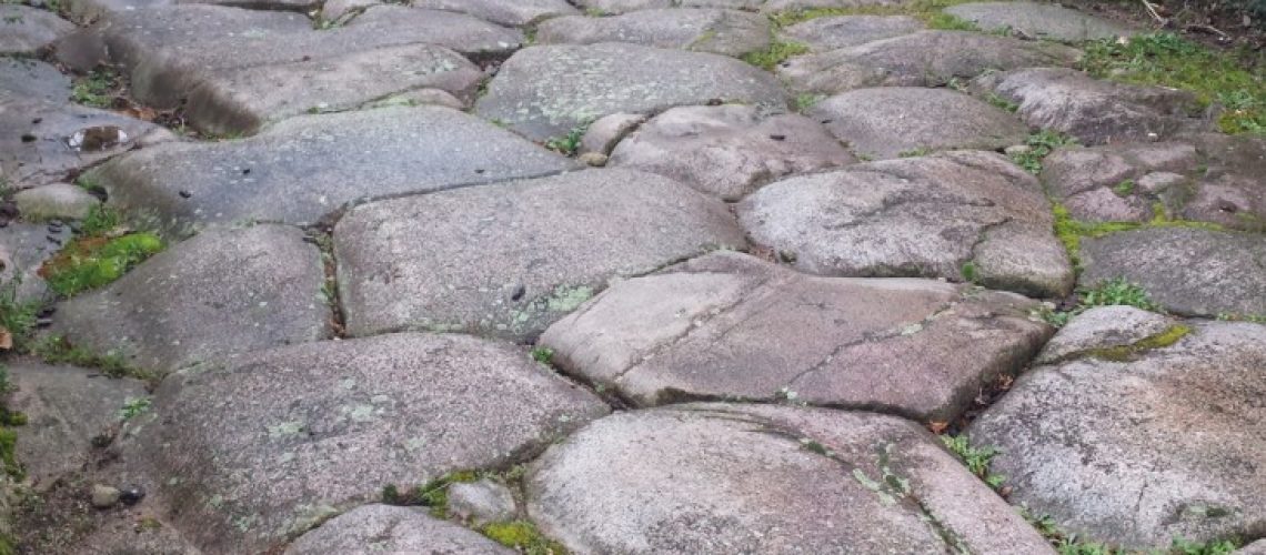 image de mise en avant