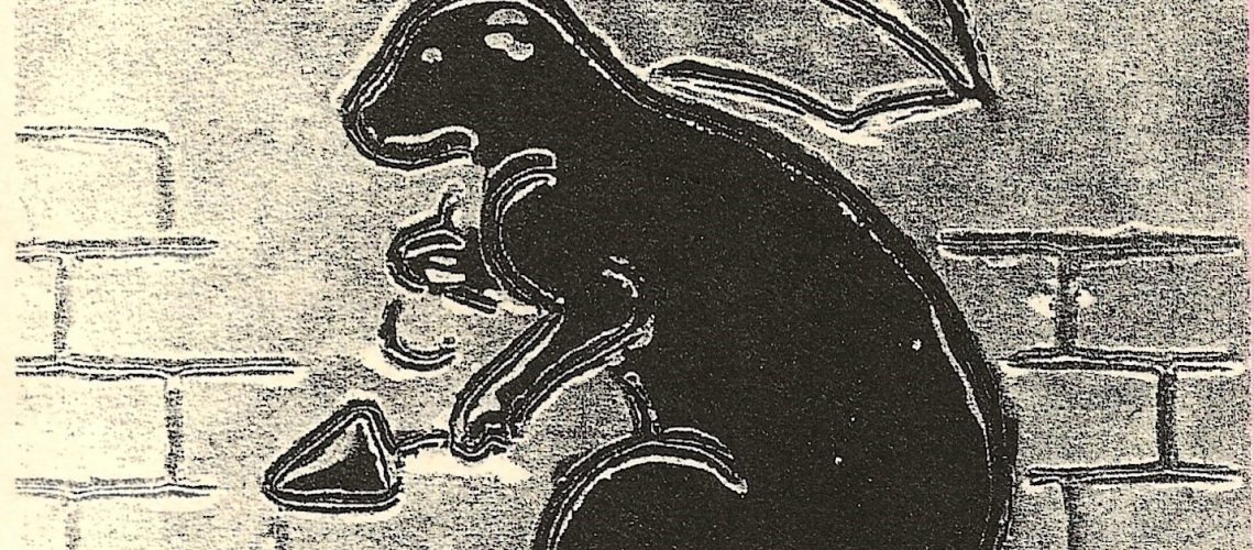 image de mise en avant